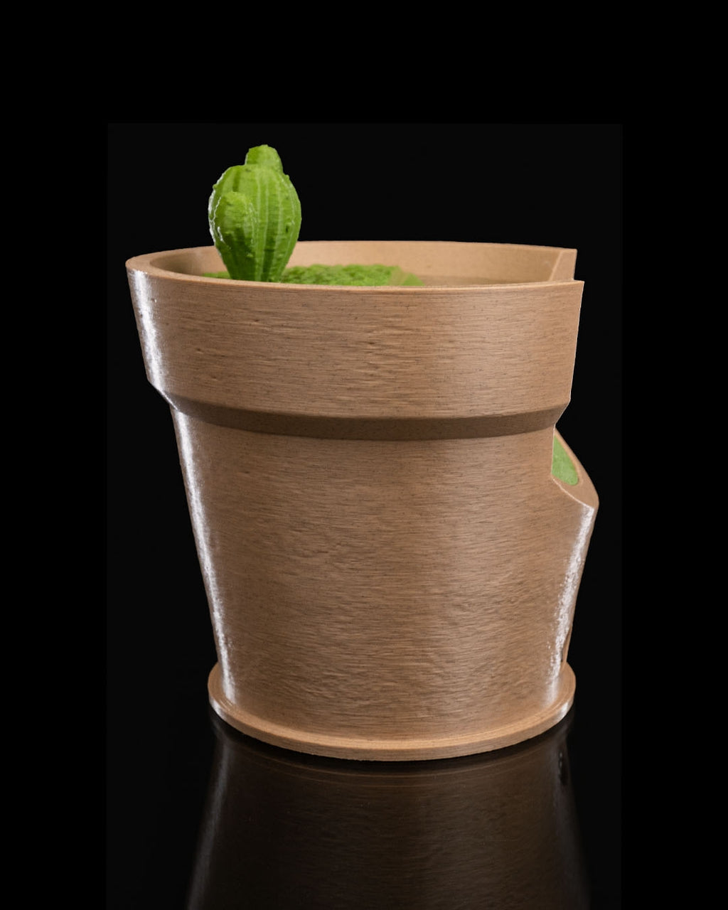 Cactus Vase Light