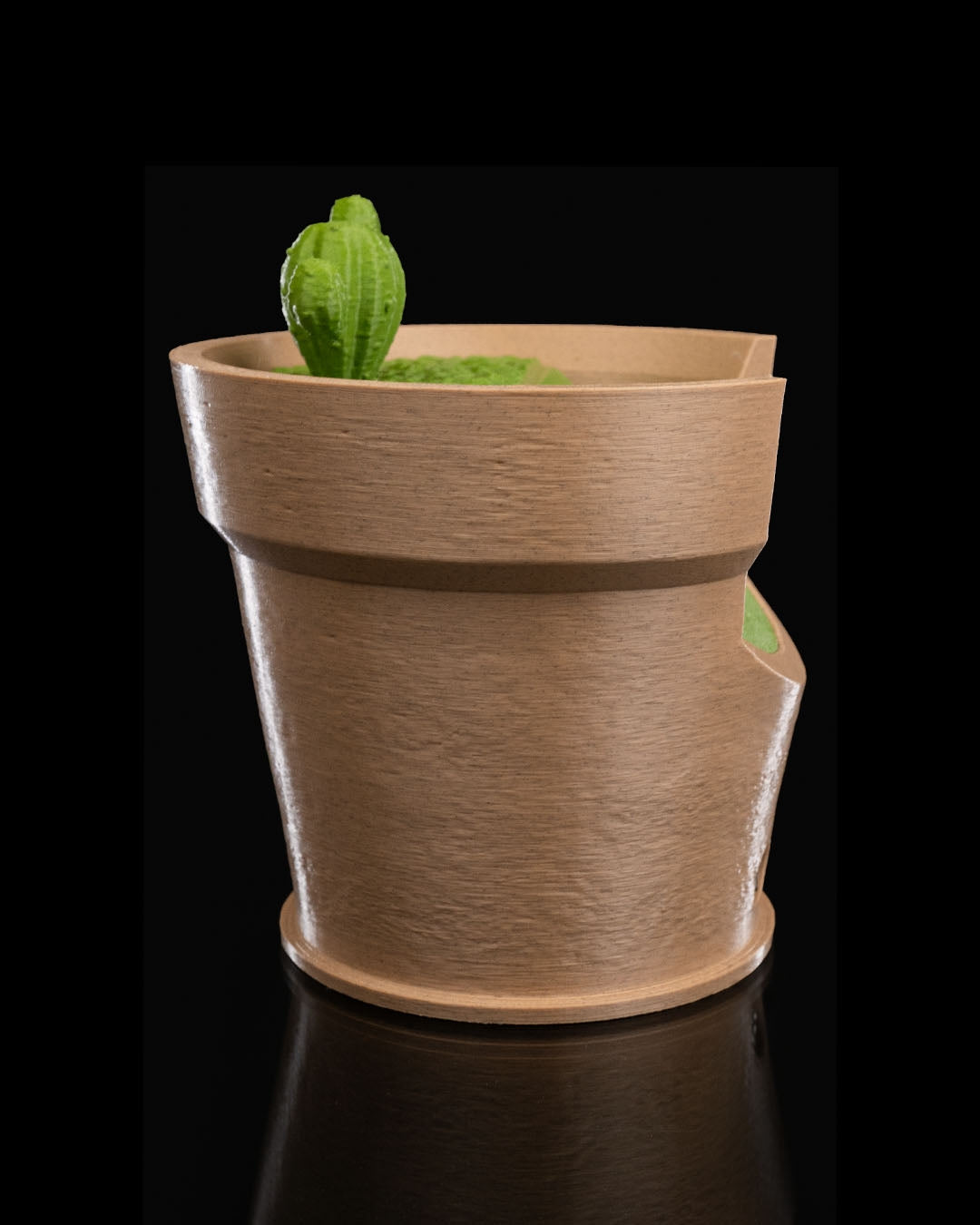 Cactus Vase Light