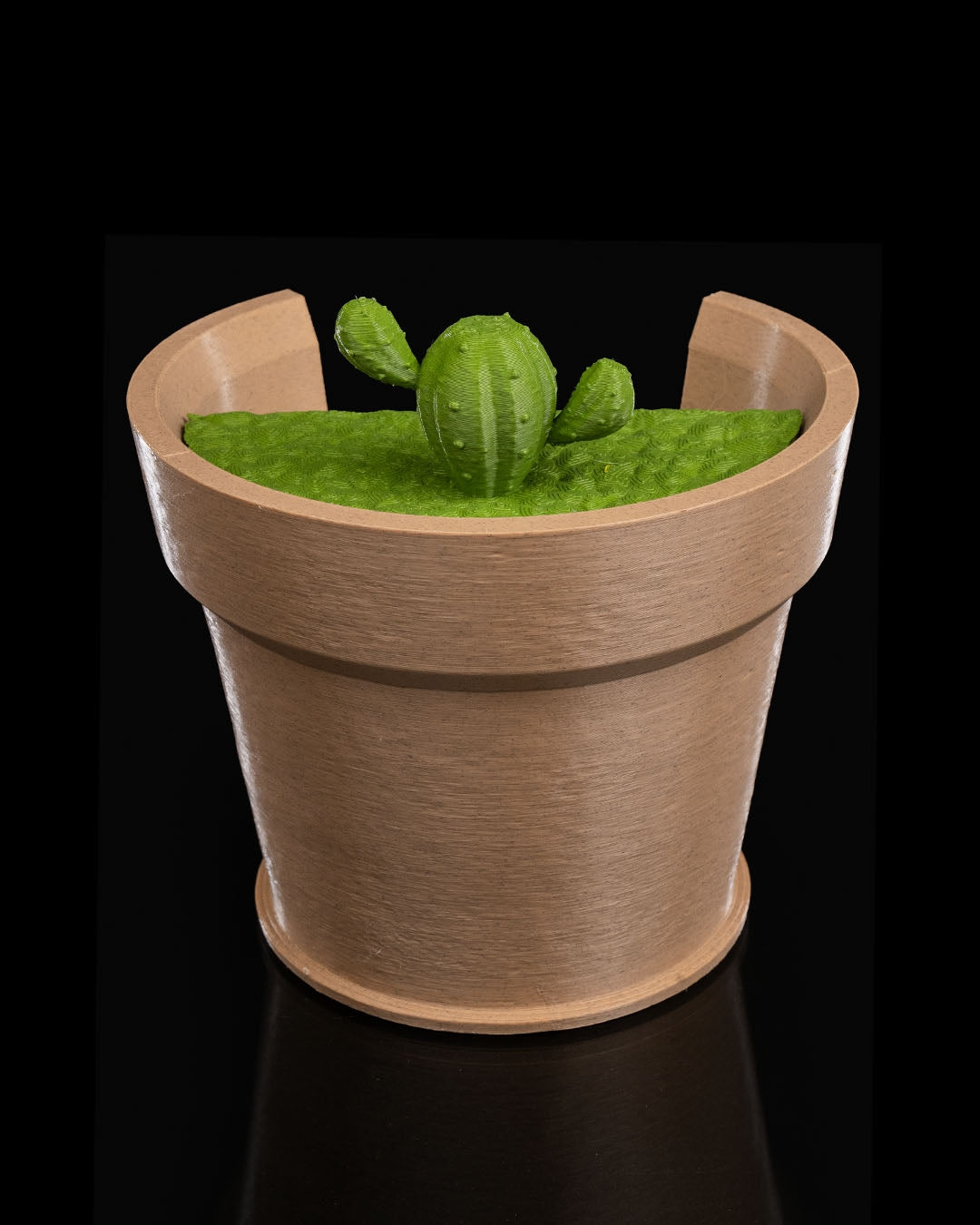 Cactus Vase Light