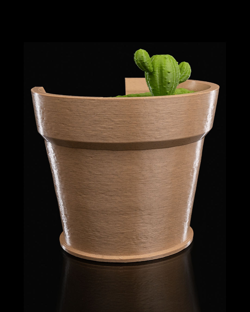 Cactus Vase Light