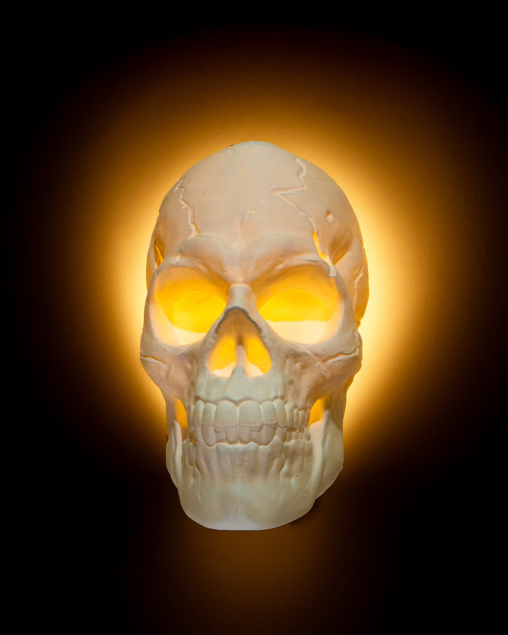Light Headed - Plug-In Lamp