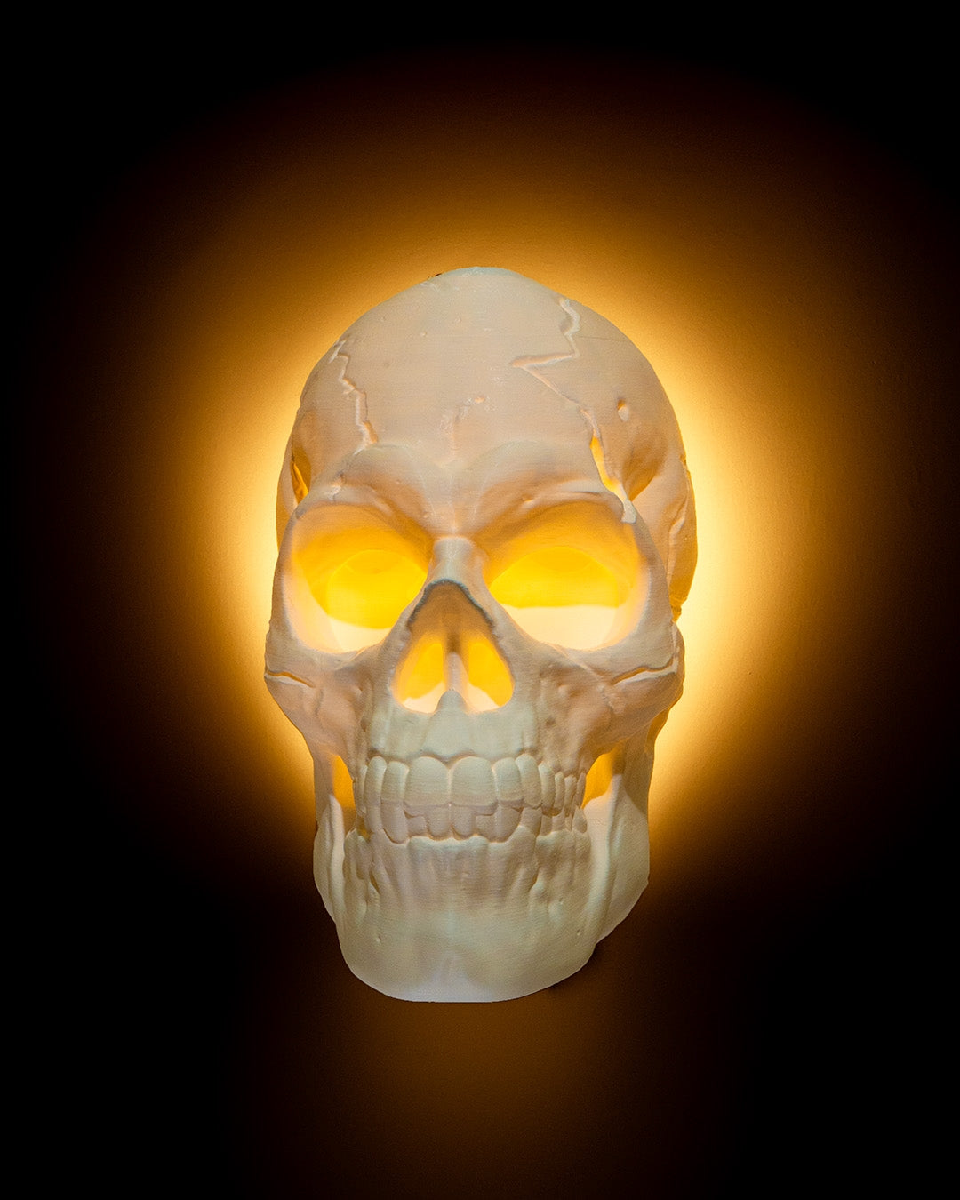 Light Headed - Plug-In Lamp