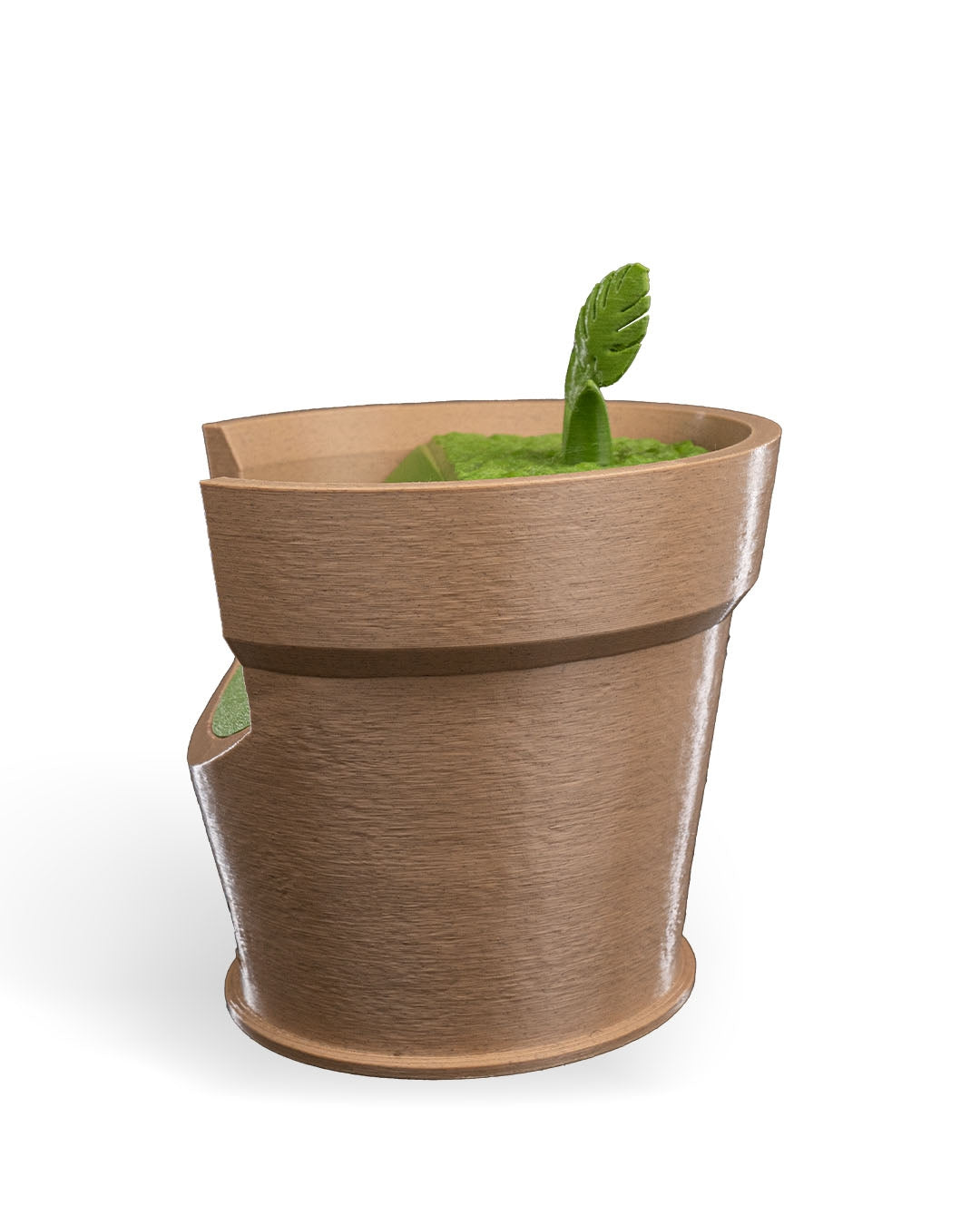 Monstera Plant Vase Light