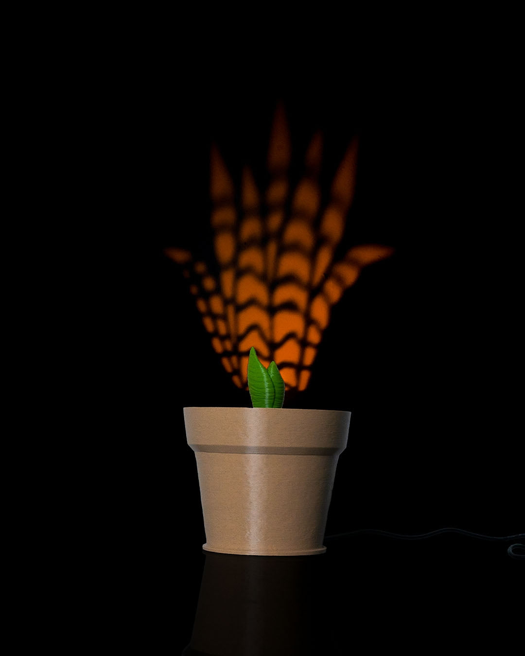 Snake Plant Vase Light