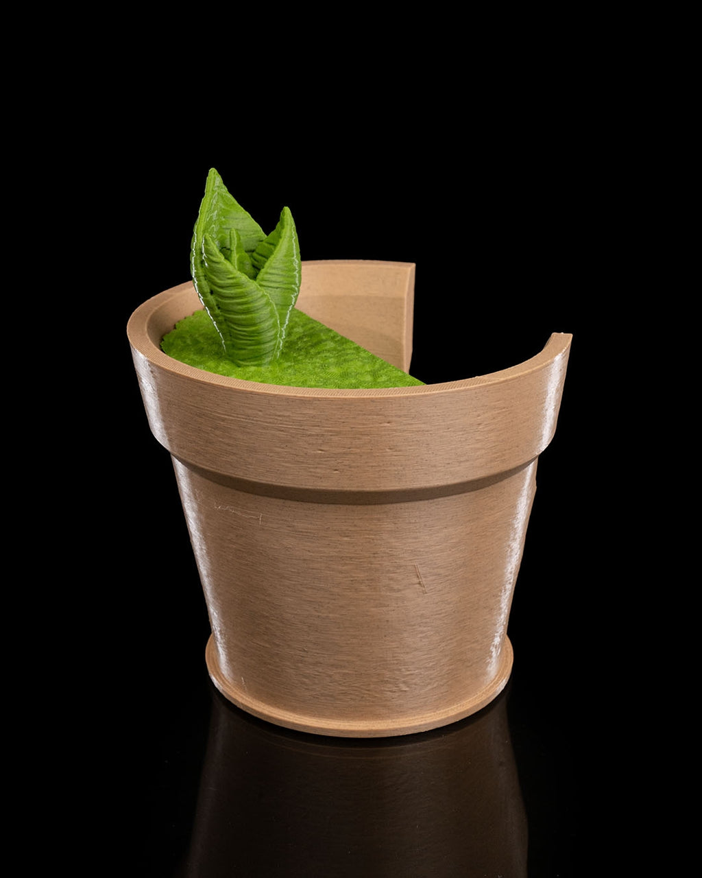 Snake Plant Vase Light