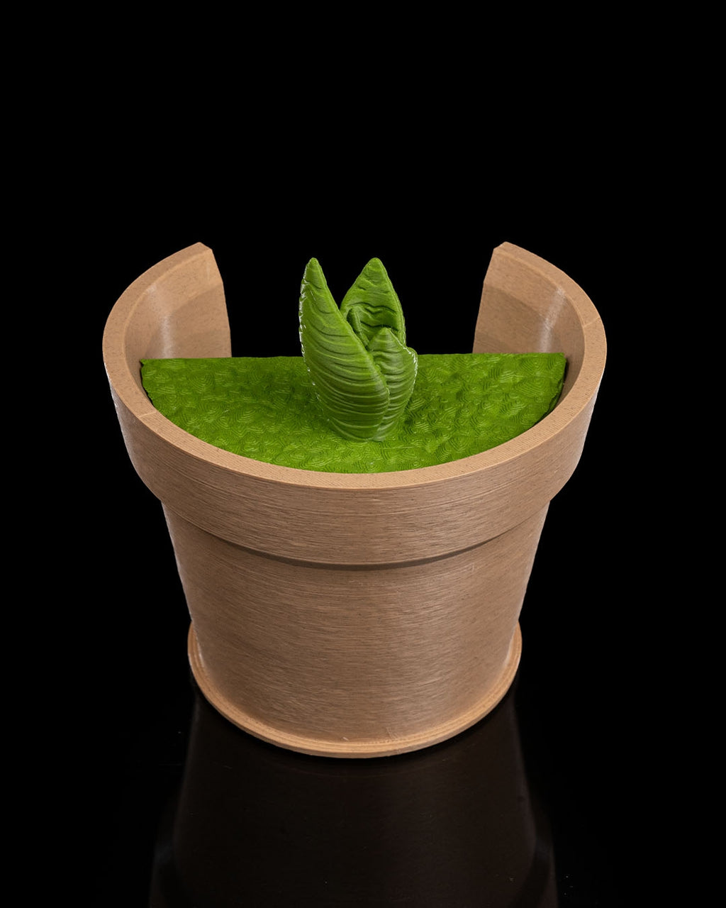 Snake Plant Vase Light