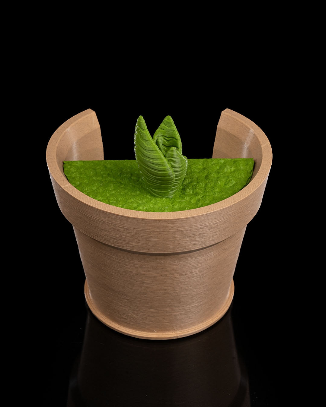 Snake Plant Vase Light