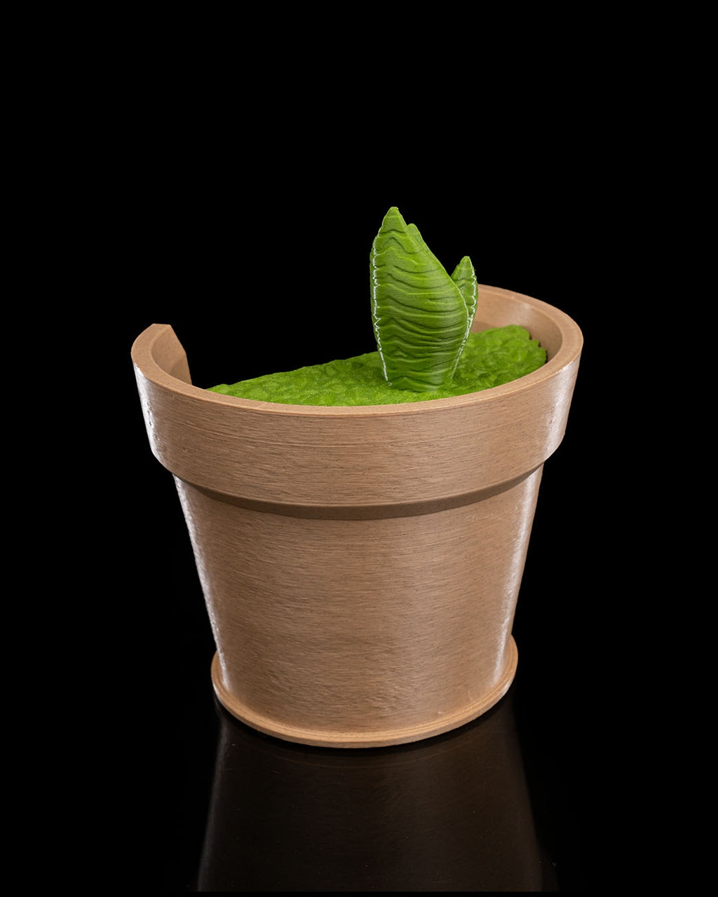 Snake Plant Vase Light