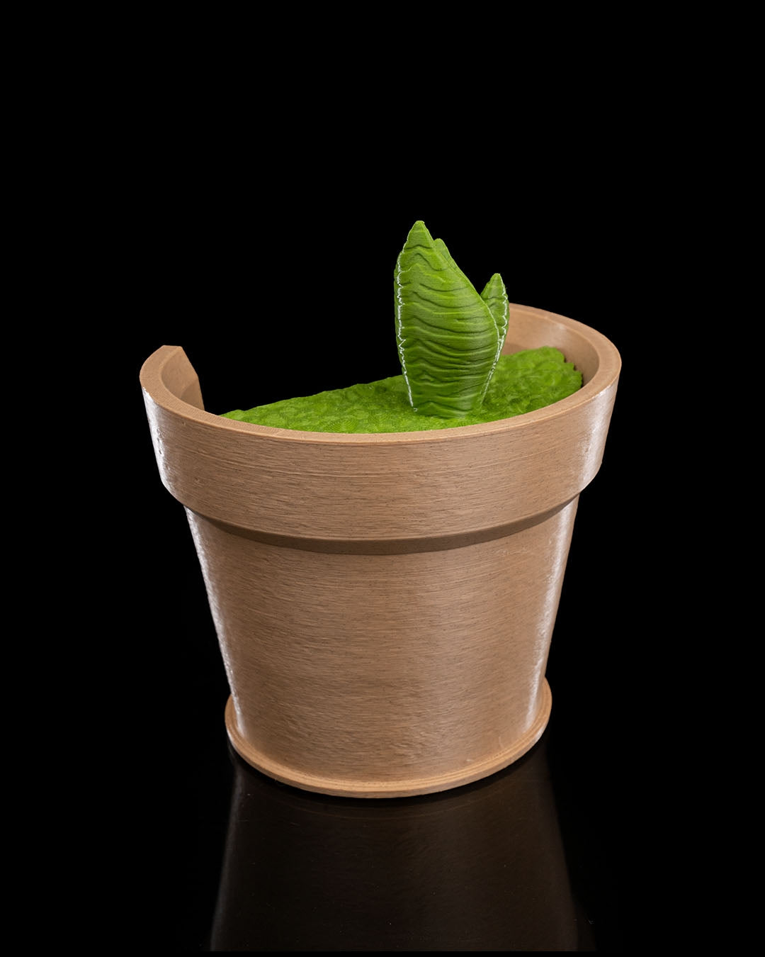 Snake Plant Vase Light