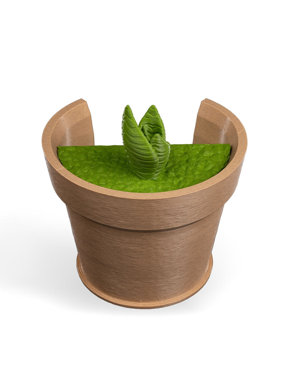 Snake Plant Vase Light
