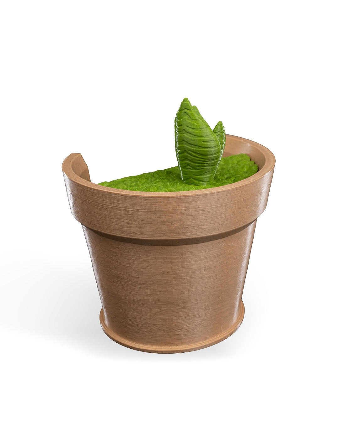 Snake Plant Vase Light