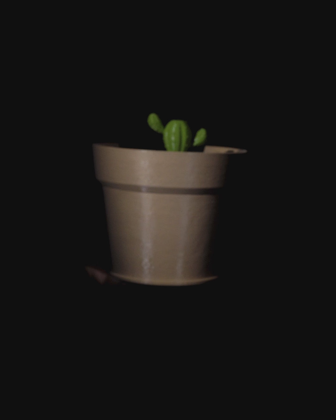 Cactus Vase Light